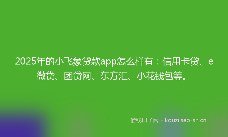 2025年的小飞象贷款app怎么样有：信用卡贷、e微贷、团贷网、东方汇、小花钱包等。