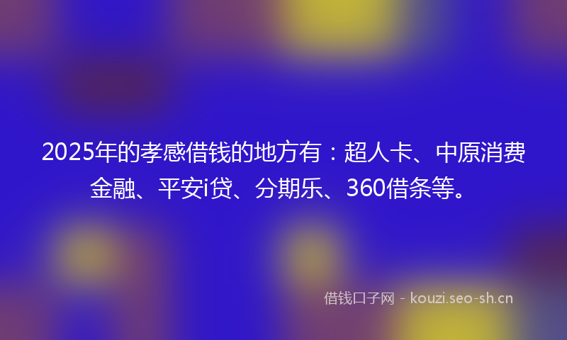 2025年的孝感借钱的地方有：超人卡、中原消费金融、平安i贷、分期乐、360借条等。