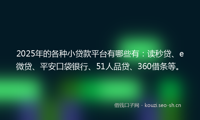 2025年的各种小贷款平台有哪些有：读秒贷、e微贷、平安口袋银行、51人品贷、360借条等。