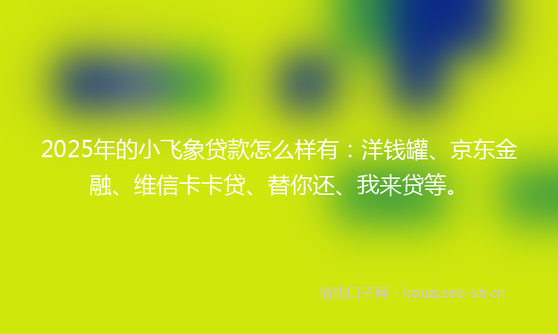 2025年的小飞象贷款怎么样有：洋钱罐、京东金融、维信卡卡贷、替你还、我来贷等。
