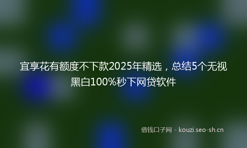 宜享花有额度不下款2025年精选，总结5个无视黑白100%秒下网贷软件