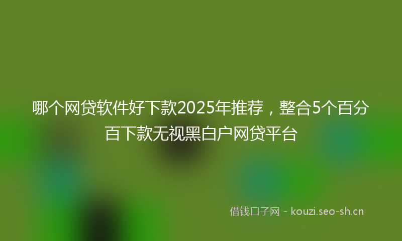 哪个网贷软件好下款2025年推荐，整合5个百分百下款无视黑白户网贷平台