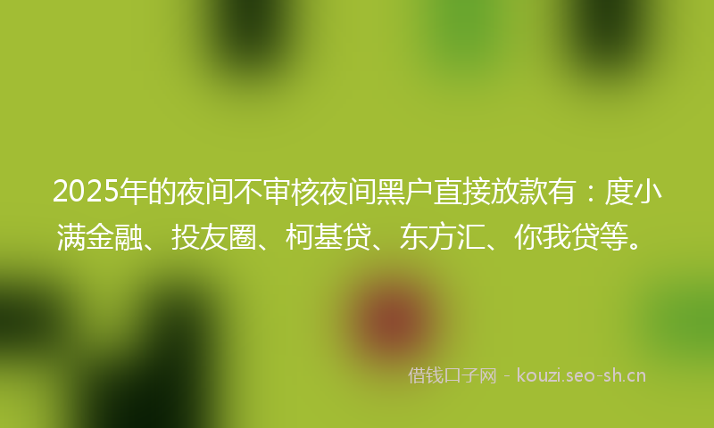 2025年的夜间不审核夜间黑户直接放款有：度小满金融、投友圈、柯基贷、东方汇、你我贷等。
