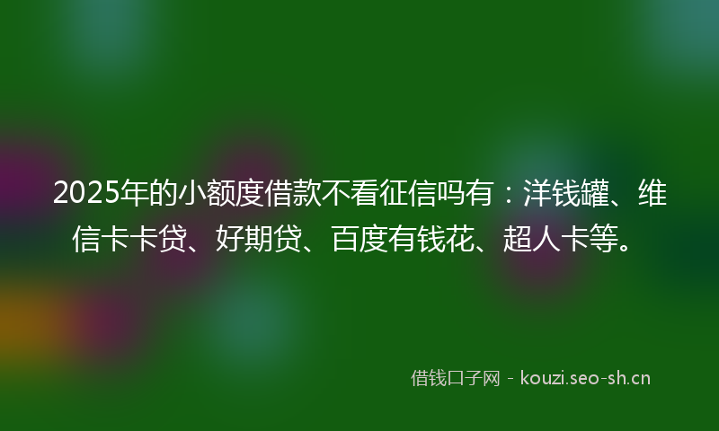 2025年的小额度借款不看征信吗有：洋钱罐、维信卡卡贷、好期贷、百度有钱花、超人卡等。