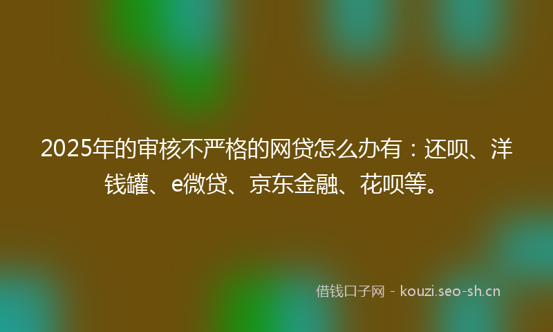 2025年的审核不严格的网贷怎么办有：还呗、洋钱罐、e微贷、京东金融、花呗等。