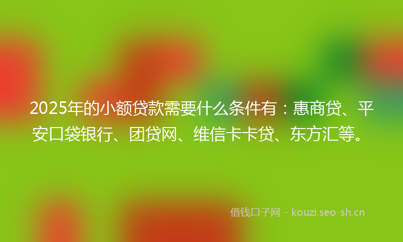 2025年的小额贷款需要什么条件有：惠商贷、平安口袋银行、团贷网、维信卡卡贷、东方汇等。