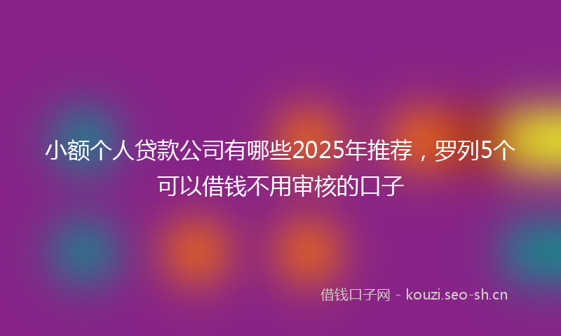小额个人贷款公司有哪些2025年推荐，罗列5个可以借钱不用审核的口子