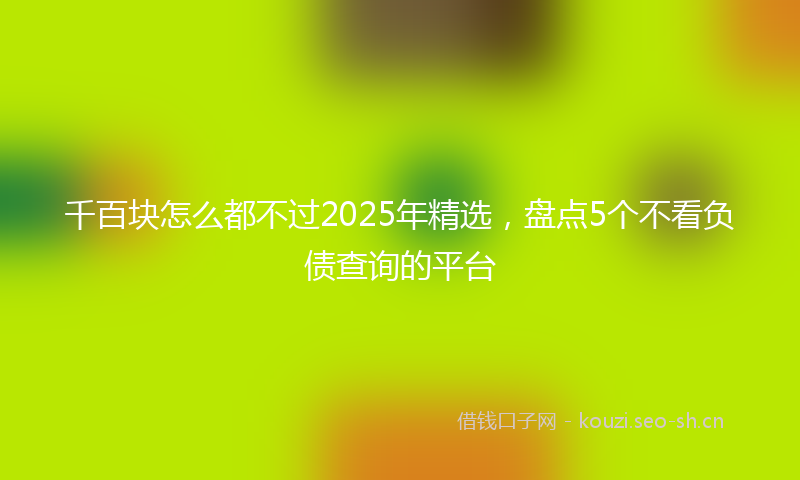 千百块怎么都不过2025年精选，盘点5个不看负债查询的平台