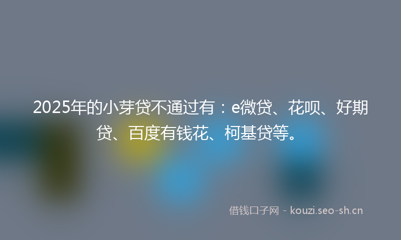 2025年的小芽贷不通过有：e微贷、花呗、好期贷、百度有钱花、柯基贷等。