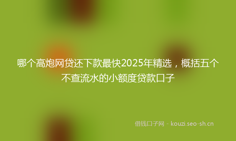 哪个高炮网贷还下款最快2025年精选，概括五个不查流水的小额度贷款口子