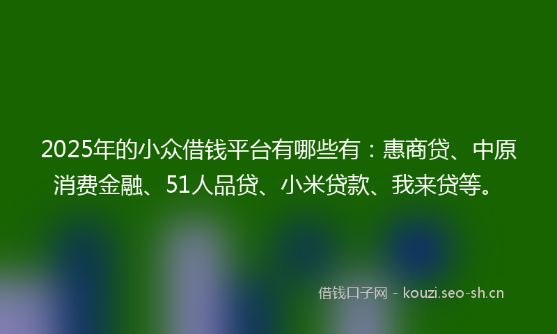 2025年的小众借钱平台有哪些有：惠商贷、中原消费金融、51人品贷、小米贷款、我来贷等。