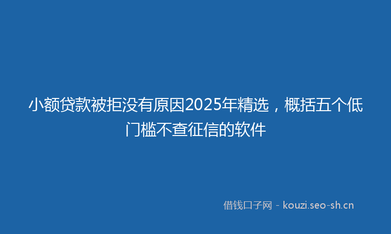 小额贷款被拒没有原因2025年精选，概括五个低门槛不查征信的软件