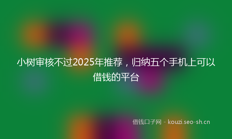 小树审核不过2025年推荐，归纳五个手机上可以借钱的平台