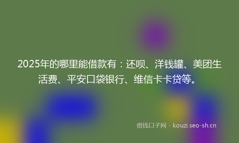 2025年的哪里能借款有:还呗、洋钱罐、美团生活费、平安口袋银行、维信卡卡贷等。
