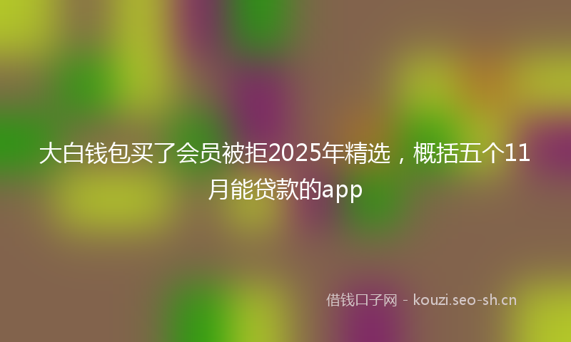 大白钱包买了会员被拒2025年精选，概括五个11月能贷款的app
