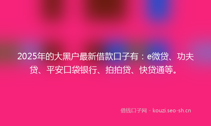 2025年的大黑户最新借款口子有：e微贷、功夫贷、平安口袋银行、拍拍贷、快贷通等。