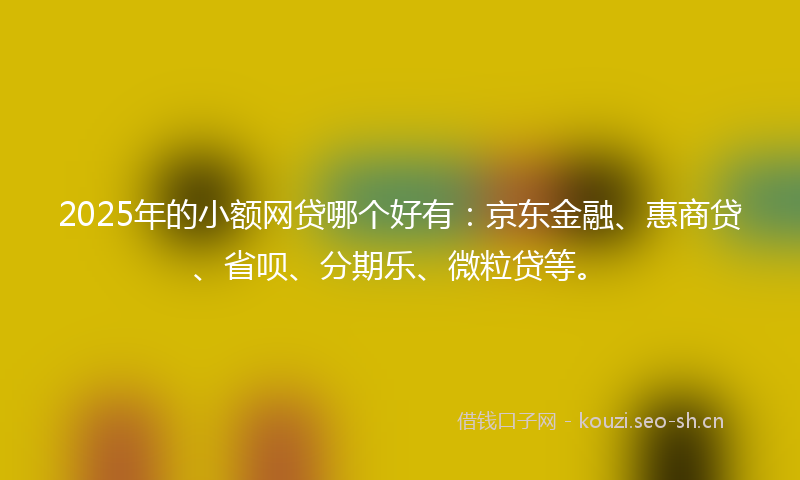 2025年的小额网贷哪个好有：京东金融、惠商贷、省呗、分期乐、微粒贷等。