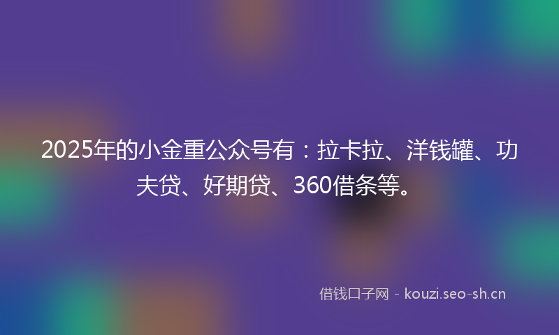 2025年的小金重公众号有：拉卡拉、洋钱罐、功夫贷、好期贷、360借条等。