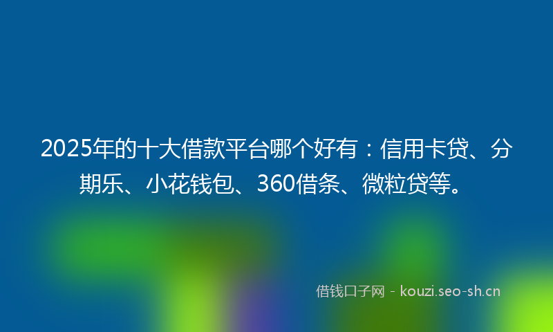 2025年的十大借款平台哪个好有：信用卡贷、分期乐、小花钱包、360借条、微粒贷等。