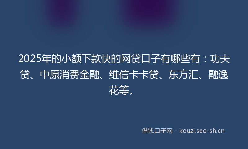 2025年的小额下款快的网贷口子有哪些有：功夫贷、中原消费金融、维信卡卡贷、东方汇、融逸花等。