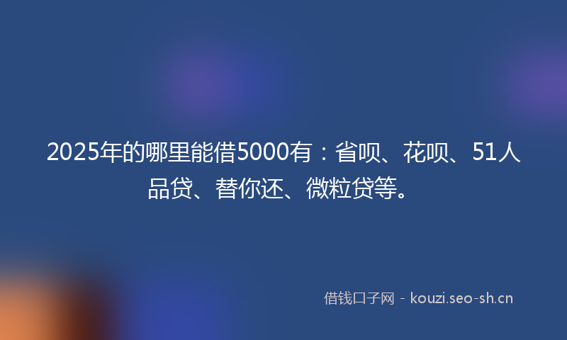 2025年的哪里能借5000有：省呗、花呗、51人品贷、替你还、微粒贷等。