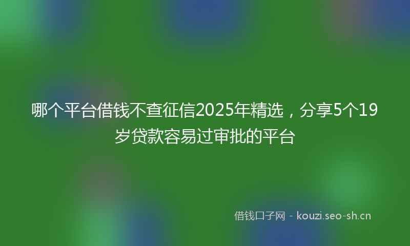 哪个平台借钱不查征信2025年精选，分享5个19岁贷款容易过审批的平台