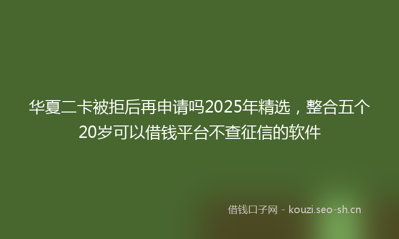 华夏二卡被拒后再申请吗2025年精选，整合五个20岁可以借钱平台不查征信的软件