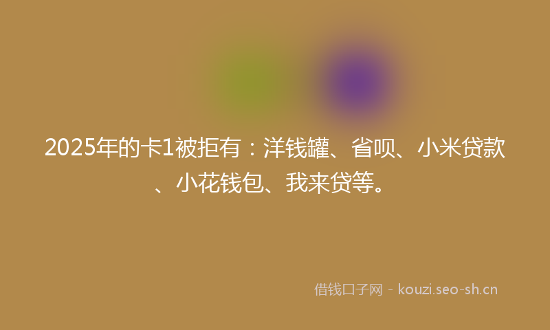 2025年的卡1被拒有：洋钱罐、省呗、小米贷款、小花钱包、我来贷等。