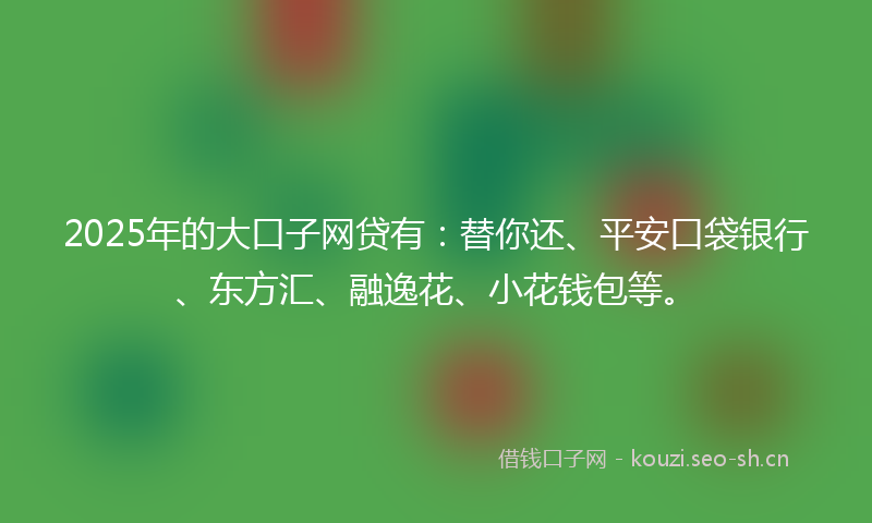 2025年的大口子网贷有：替你还、平安口袋银行、东方汇、融逸花、小花钱包等。