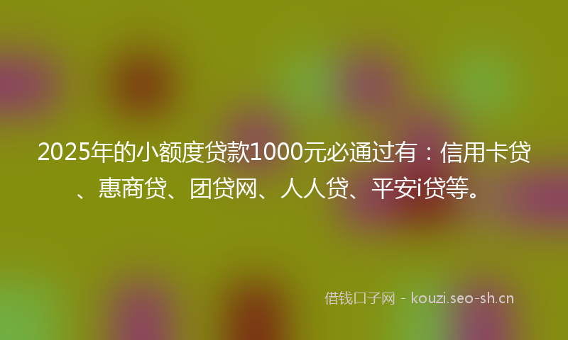 2025年的小额度贷款1000元必通过有：信用卡贷、惠商贷、团贷网、人人贷、平安i贷等。