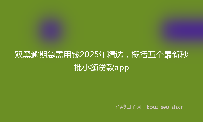 双黑逾期急需用钱2025年精选，概括五个最新秒批小额贷款app