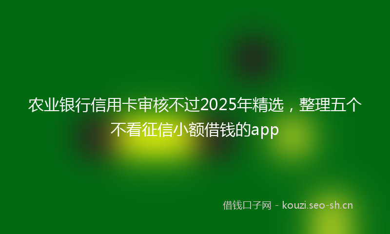农业银行信用卡审核不过2025年精选，整理五个不看征信小额借钱的app