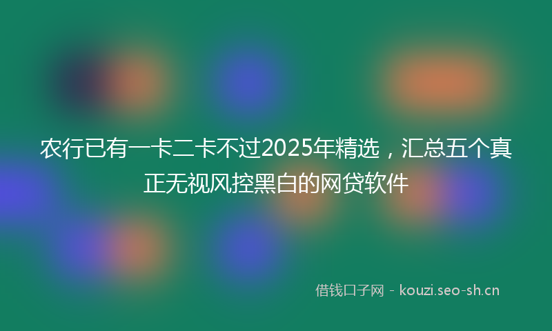 农行已有一卡二卡不过2025年精选,汇总五个真正无视风控黑白的网贷软件