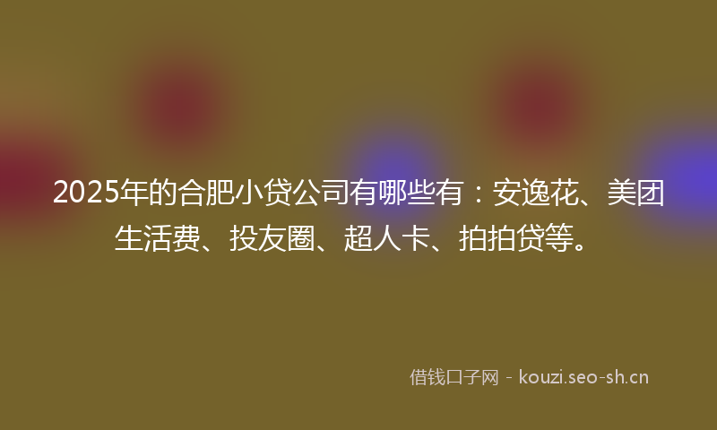 2025年的合肥小贷公司有哪些有：安逸花、美团生活费、投友圈、超人卡、拍拍贷等。