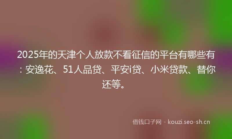 2025年的天津个人放款不看征信的平台有哪些有：安逸花、51人品贷、平安i贷、小米贷款、替你还等。