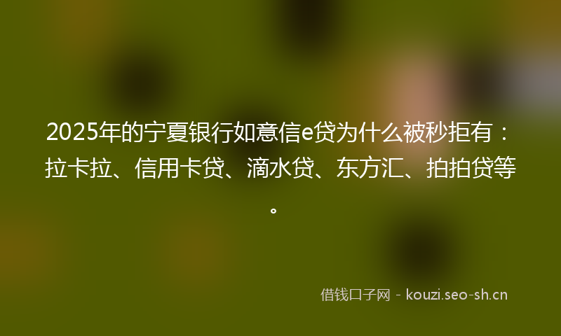 2025年的宁夏银行如意信e贷为什么被秒拒有：拉卡拉、信用卡贷、滴水贷、东方汇、拍拍贷等。