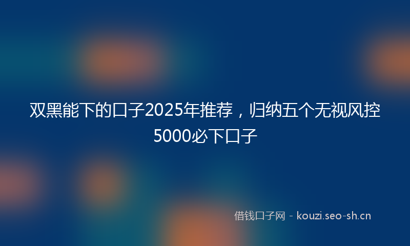 双黑能下的口子2025年推荐，归纳五个无视风控5000必下口子