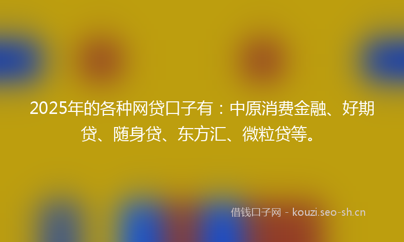 2025年的各种网贷口子有：中原消费金融、好期贷、随身贷、东方汇、微粒贷等。