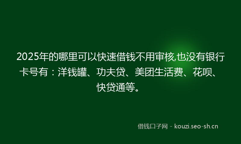 2025年的哪里可以快速借钱不用审核,也没有银行卡号有：洋钱罐、功夫贷、美团生活费、花呗、快贷通等。