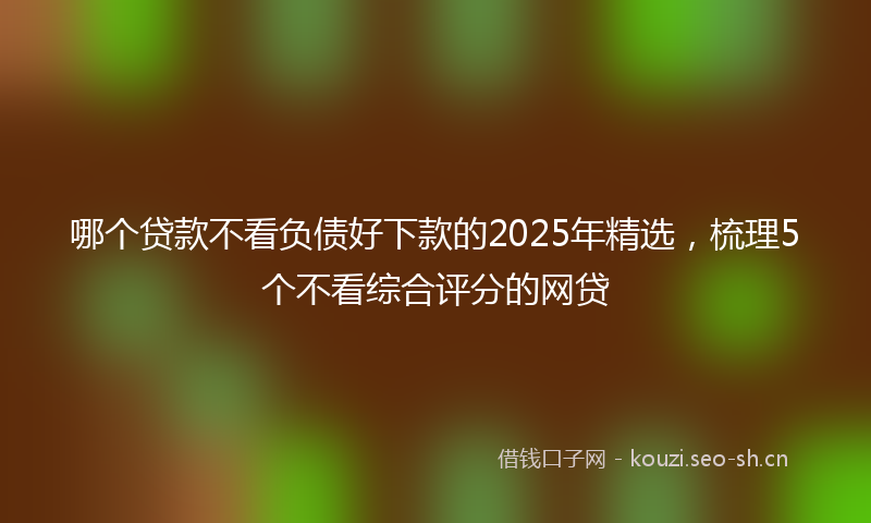 哪个贷款不看负债好下款的2025年精选，梳理5个不看综合评分的网贷