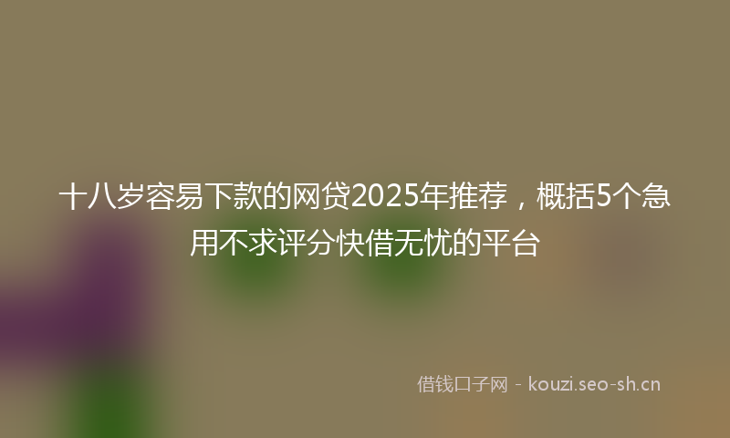 十八岁容易下款的网贷2025年推荐,概括5个急用不求评分快借无忧的平台