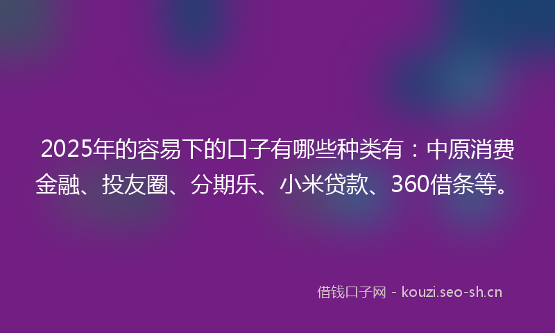 2025年的容易下的口子有哪些种类有：中原消费金融、投友圈、分期乐、小米贷款、360借条等。