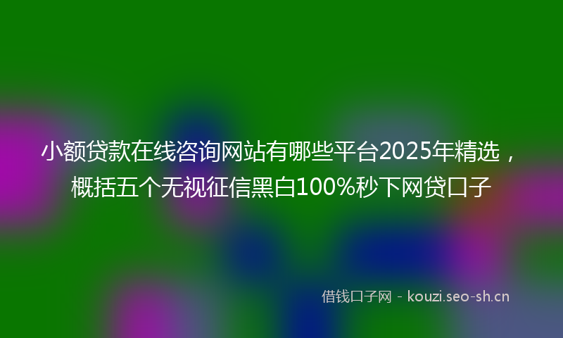 小额贷款在线咨询网站有哪些平台2025年精选，概括五个无视征信黑白100%秒下网贷口子
