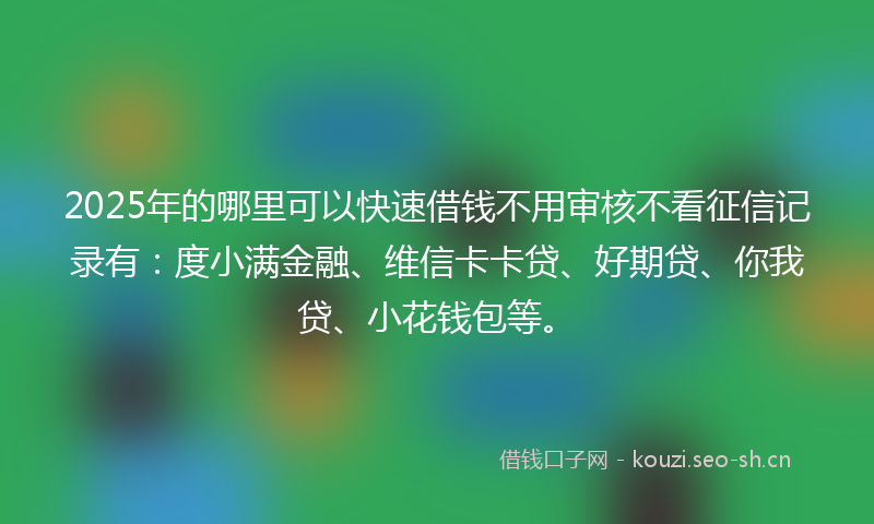 2025年的哪里可以快速借钱不用审核不看征信记录有：度小满金融、维信卡卡贷、好期贷、你我贷、小花钱包等。