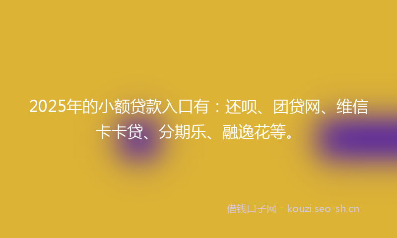 2025年的小额贷款入口有：还呗、团贷网、维信卡卡贷、分期乐、融逸花等。