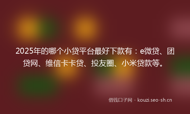 2025年的哪个小贷平台最好下款有：e微贷、团贷网、维信卡卡贷、投友圈、小米贷款等。