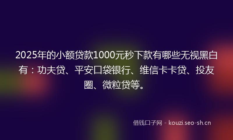 2025年的小额贷款1000元秒下款有哪些无视黑白有：功夫贷、平安口袋银行、维信卡卡贷、投友圈、微粒贷等。