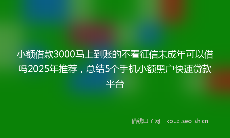 小额借款3000马上到账的不看征信未成年可以借吗2025年推荐，总结5个手机小额黑户快速贷款平台