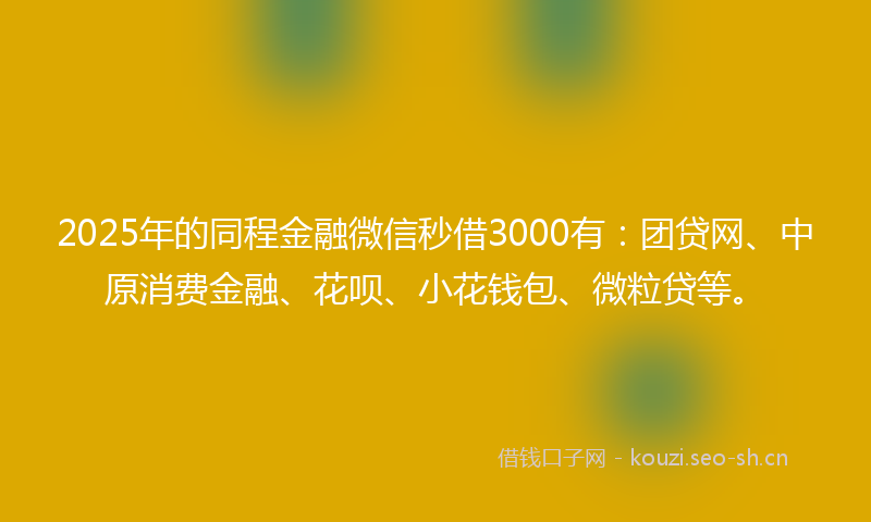2025年的同程金融微信秒借3000有：团贷网、中原消费金融、花呗、小花钱包、微粒贷等。