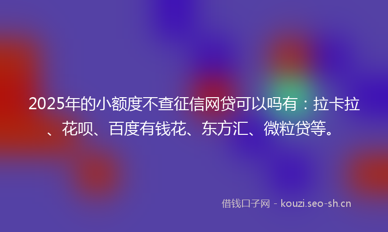 2025年的小额度不查征信网贷可以吗有：拉卡拉、花呗、百度有钱花、东方汇、微粒贷等。